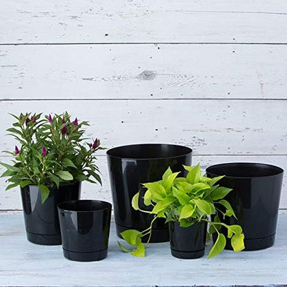 Novelty Majestic Full Depth Round Cylinder Pot, Glossy Black, 8-Inch (10088) (Pack of 2)