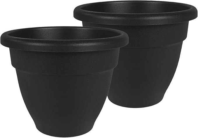 The HC Companies 12 Inch Caribbean Planter Pots with Drainage & Plug, Rolled Rim Plastic Planters for Indoor & Outdoor Plants, 2-Pack Decorative Flower Pots for Garden, Office & Home Decor, Black
