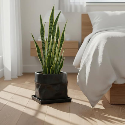 Nihow 8 Inch Ceramic Plant Pot with Drainage & Square Saucer,Black | Bag Shape Design,Indoor & Outdoor,Living room/Office/Bedroom/Windowsill/Tabletop,Plant Lovers/Gardeners/Beginners