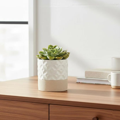 Nihow Self Watering Ceramic Plant Pot, 4.5 Inch, Matte White & Brown Star | Drainage Hole, Water Storage Plus, Indoor & Outdoor, Cylinder Flower Pot, For Herbs/Violets