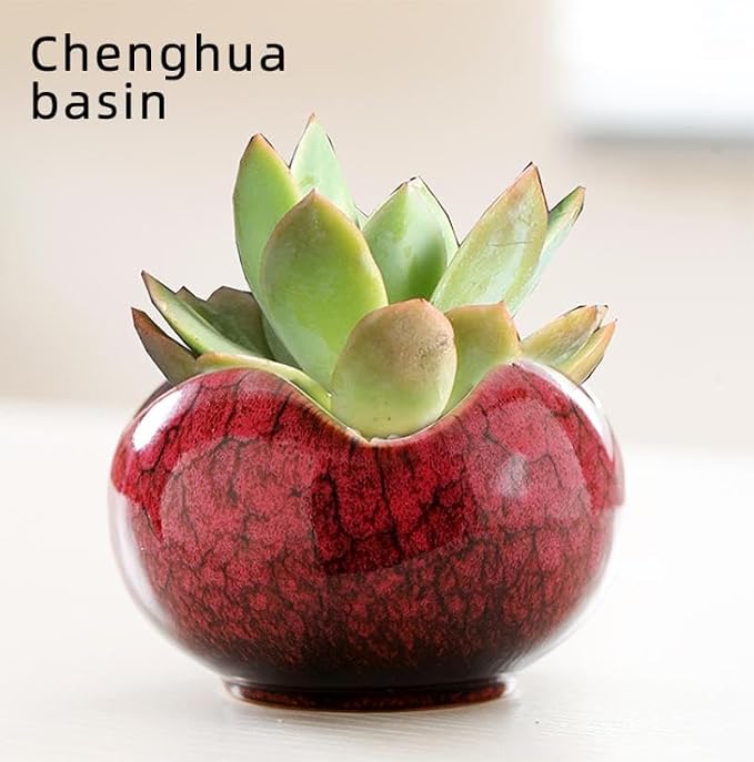 YYW Succulent Pots with Drainage Ceramic Plant Pot Indoor Small Flower Cactus Pots with Tree Tier Bamboo Stand Shallow Planter for Garden Windows Home Office Decor Plant Lovers Gifts