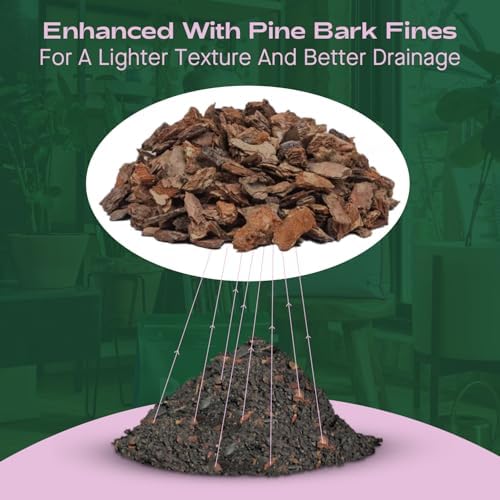 Seedling Seed Starter Soil Mix (4 qts) + Indoor Potting Soil (4 qts) - Peat Free - Potting Seed Starting Mix - Potting Soil Mix for Indoor Plants