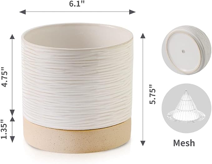 Nihow Ceramic Plant Pot,6 Inch Planter with Drainage Hole&Saucer for Indoor | Cream White & Brown,Indoor & Outdoor, Cylinder Round Flower Pot, For Succulent/Herbs/Violets