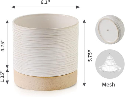 Nihow Ceramic Plant Pot,6 Inch Planter with Drainage Hole&Saucer for Indoor | Cream White & Brown,Indoor & Outdoor, Cylinder Round Flower Pot, For Succulent/Herbs/Violets