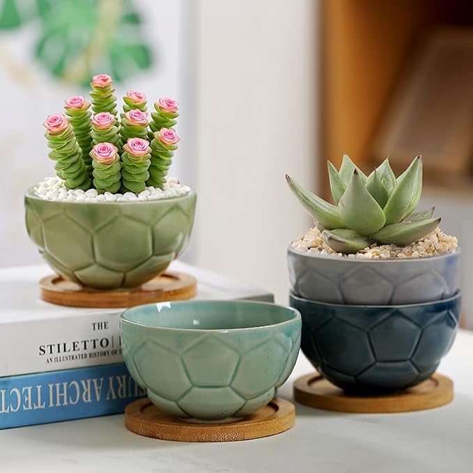 YYW Ceramic Succulent Planter, 4 Pack Cute Garden Pots with Drainage and Attached Saucer