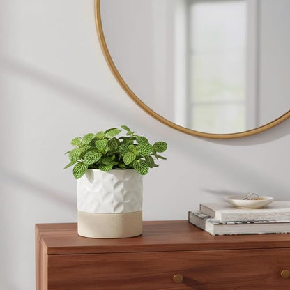 Nihow Self Watering Ceramic Plant Pot, 4.5 Inch, Matte White & Brown Star | Drainage Hole, Water Storage Plus, Indoor & Outdoor, Cylinder Flower Pot, For Herbs/Violets