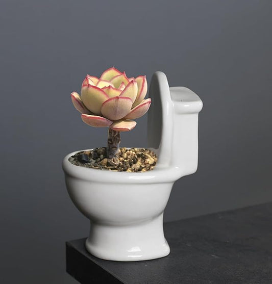 Ceramic Succulent Plant Pot Cactus Plant Pot Flower Pot Container Planter with Drainage Hole Home Office Desk Garden Gift Idea Animal Shaped Flower Pot Cute Vase Pot (Closestool)