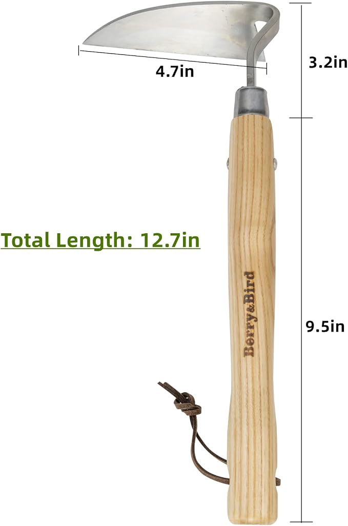 Berry&Bird Stainless Steel Bent Angle Gardening Sickle, Weed Scraper-Hoe with Ergonomic Ash Wood Handle, 12.67-Inch Blade for Weeding & Soil Loosening