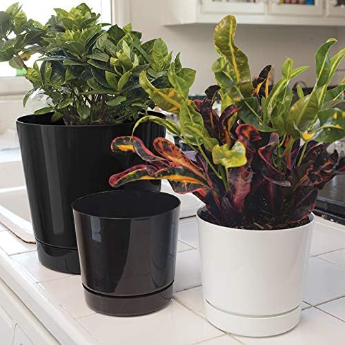 Novelty Majestic Full Depth Round Cylinder Pot, Glossy Black, 8-Inch (10088) (Pack of 2)