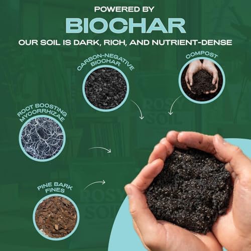 Seedling Seed Starter Soil Mix (4 qts) + Indoor Potting Soil (4 qts) - Peat Free - Potting Seed Starting Mix - Potting Soil Mix for Indoor Plants