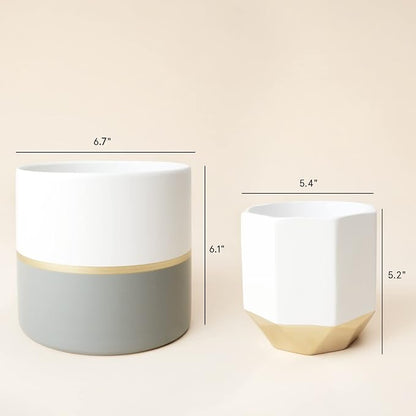 LA Jolie Muse White Ceramic Flower Pot Garden Planters 6.7 Inch Pack 2 Indoor Plant Containers with Gold and Grey Detailing