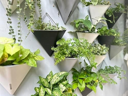 LaLaGreen Wall Planter for Indoor (12in, 4 Pack) Large Self Watering Plants | Black Geometric Hanging Flower Vase Vessel with Metal Hanger, Modern Stylish Wall Mounted Succulent Pot Holder Decor
