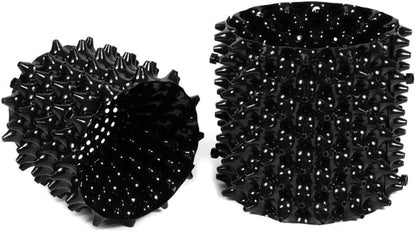 RooTrimmer 3 Gallon Air Pruning Container New Plastic Nursery Pot Fruit Vegetable Garden self-Planting pots, Size 10"x10", Black