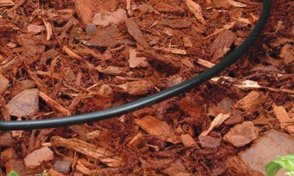 Rain Bird T22-250S Drip Irrigation 1/4" Blank Distribution Tubing, 250' Roll, Black (Pack of 4)