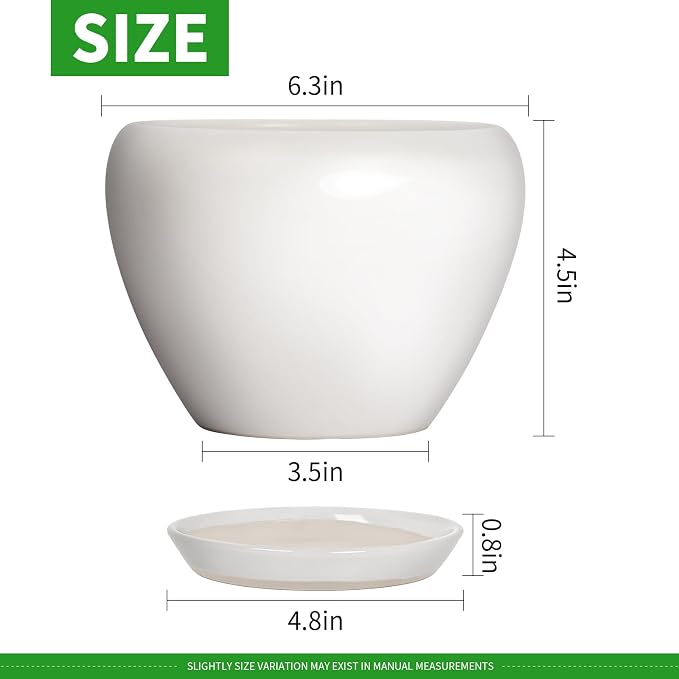 Deep Dream 6 Inch Plant Pot - Ceramic Planter with Drainage Hole and Trays, Modern Round Flower Pot, Planters for Indoor Outdoor Plants, Home Garden Decor, White