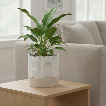 Nihow Ceramic Self Watering Pots for Indoor Plants, 8 Inch,Beige | Visible Water Level Fill Port,Planter with Cotton Wick,Water Storage Plus, Cylinder Round Flower Pot, Succulent/Herbs/Violets
