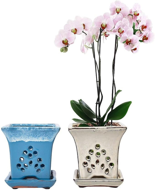 Ceramic Orchid Pots with Holes attached Saucers 4.8 Inches - Set of 2 Small Square Orchid Pots for Repotting, Decorative Ceramic Orchid Planter with Hole for Healthy Root Growth Blue White Mixed