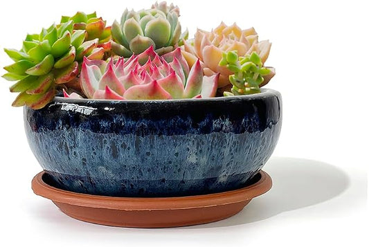 7 Inch Glazed Terracotta Plant Pot Round Ceramic Succulent Planter Pot with Drainage and Mesh Pad Cactus Clay Bonsai Pot (Blue)