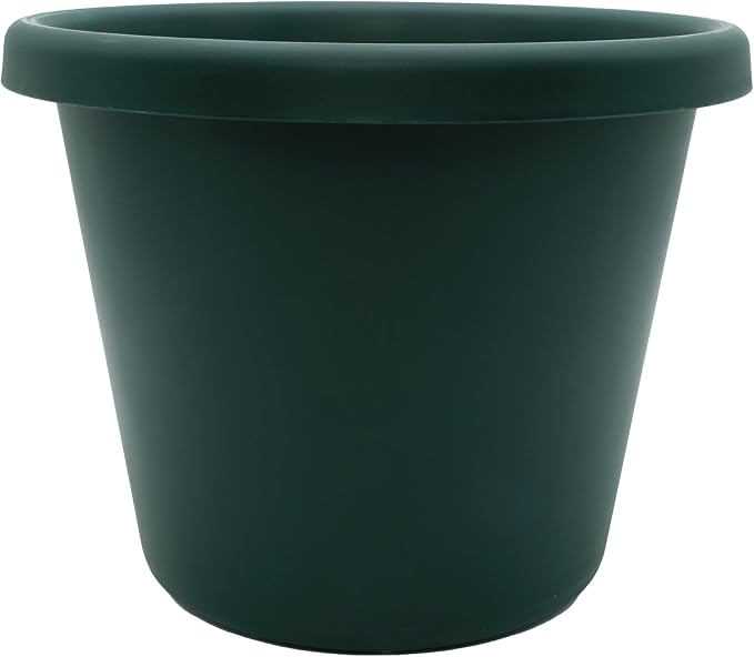 The HC Companies Classic Round Plastic Plant Pot w/Rolled Rim - Lightweight & UV Resistant Flower Pot for Herbs & More - Outdoor & Indoor Plant Pots w/Drainage (11.5 inch Evergreen, Pack of 1)