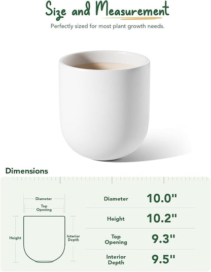 LE TAUCI 10 Inch Plant Pot, Ceramic Pots for Plants with Drainage Hole and Rubber Plug, Plant Pots Indoor for Olive Tree, Cylinder Planter Pot for Home Patio Office, White