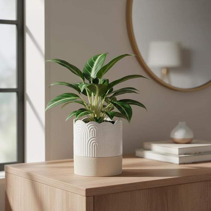 Nihow Ceramic Self Watering Pots for Indoor Plants, 4.5 Inch,Beige | Visible Water Level Fill Port,Planter with Cotton Wick,Water Storage Plus, Cylinder Round Flower Pot, Succulent/Herbs/Violets