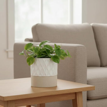 Nihow Self Watering Ceramic Plant Pot, 4.5 Inch, Cream White & Brown Net | Drainage Hole, Water Storage Plus, Indoor & Outdoor, Cylinder Flower Pot, For Herbs/Violets