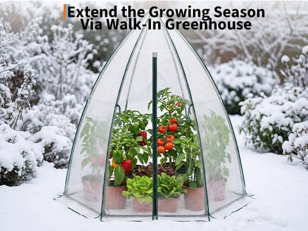 Greenhouse for Outsides, 54”x 54”x 71” Heavy Duty Green House Tent with Durable PE Cover, Garden Plant Protector with Zippered Door Mesh Window for Vegetables Flowers Fruits Herbs, Transparent
