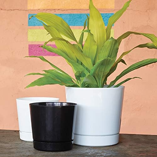 Novelty Majestic Full Depth Round Cylinder Pot, Glossy Black, 6-Inch (10068) (Pack of 3)