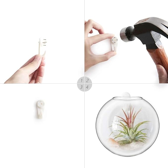 Mkono Propagation Wall Hanging Planter Glass Terrarium Flower Vases Holder for Indoor Plants, Home Living Room Office Decor Plant Lover Gifts, Set of 4(Plants not Included)