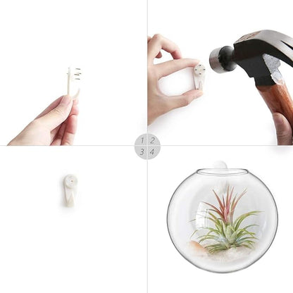 Mkono Propagation Wall Hanging Planter Glass Terrarium Flower Vases Holder for Indoor Plants, Home Living Room Office Decor Plant Lover Gifts, Set of 4(Plants not Included)