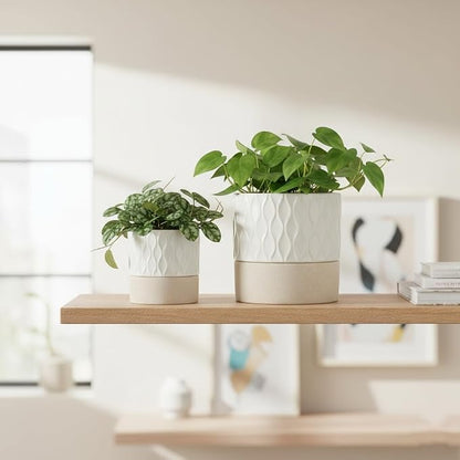 Nihow Ceramic Self Watering Plant Pot for Indoor Plants, 4.5+6 Inch | Planter with Cotton Wick, Drainage Hole & Water Storage Plus, Cylinder Round Flower Pot, For Succulent/Herbs/Violets