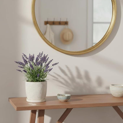Nihow Ceramic Plant Pots with Drainage Hole & Saucer, 4.75 Inch, White-3 | Small,Embossed Design, For Succulent, Cactus, Little Snake, Indoor Plants