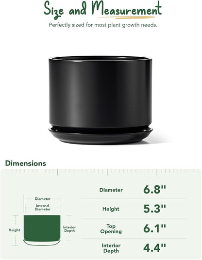 LE TAUCI Ceramic Pots for Plants, 6.8 Inch Plant Pots with Drainage Hole & Saucer, Modern Planter for Indoor Plants, Stable & Durable, Perfect for Living Room or Office Decor, Black