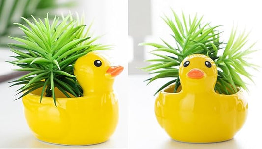 Ceramic Succulent Plant Pot Cactus Plant Pot Flower Pot Container Planter with Drainage Hole Home Office Desk Garden Gift Idea Animal Shaped Flower Pot Cute Vase Pot (Yellow Duck)