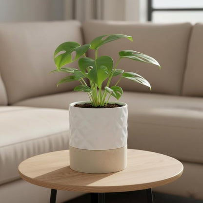 Nihow Ceramic Self Watering Plant Pot for Indoor Plants, 6 Inch,Cream White | Planter with Cotton Wick, Drainage Hole & Water Storage Plus, Cylinder Round Flower Pot, For Succulent/Herbs/Violets