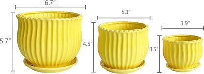 Yellow Ceramic Flower Pots with Saucers, Modern Round Ceramic Succulent Plant Pots with Stripe Texture, Small to Medium Sized, Set of 3