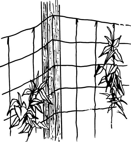 Luster Leaf 867 RapiClip Trellis Netting, 5x60 Feet, Green
