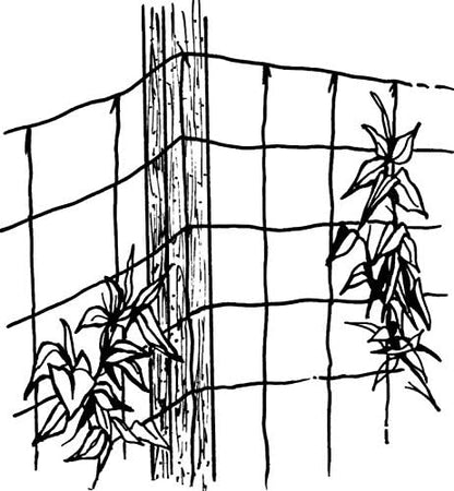 Luster Leaf 867 RapiClip Trellis Netting, 5x60 Feet, Green
