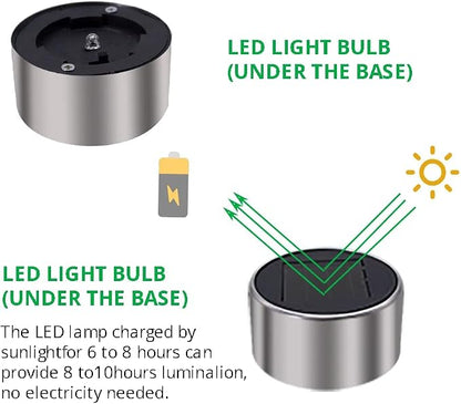 Dream Master Solar Lights Outdoor Waterproof, Stainless Steel LED Landscape Lighting, Solar Garden Lights, Outdoor Christmas Decorations for Yard, Pathway, Walkway, Patio, Lawn - 12Pack(Warm White)