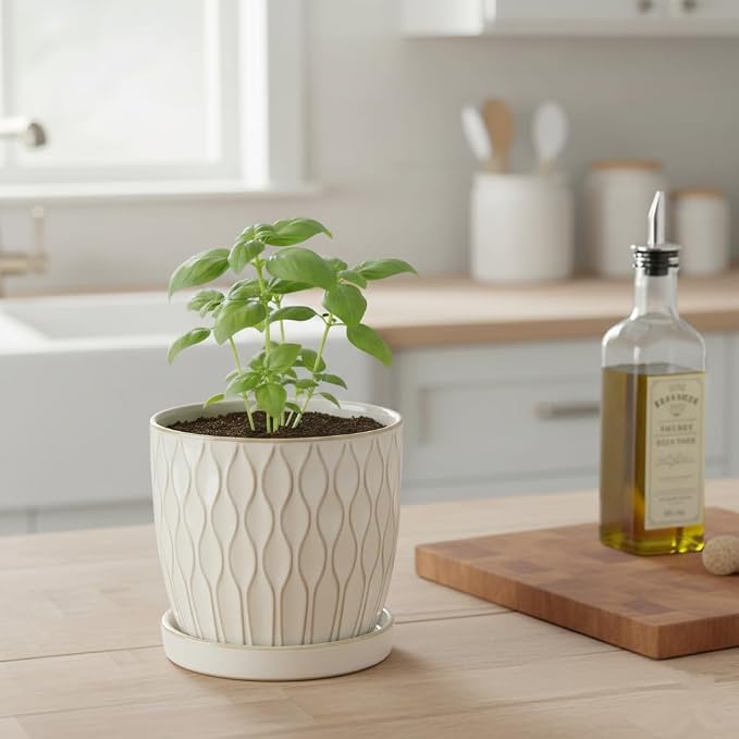 Nihow Ceramic Plant Pots with Drainage Hole & Saucer, 4.75 Inch, White-3 | Small,Embossed Design, For Succulent, Cactus, Little Snake, Indoor Plants
