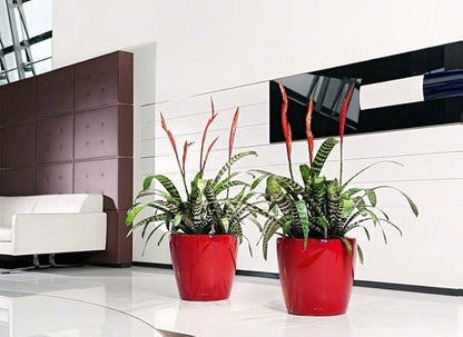 Lechuza Classico LS 35 Scarlet Red High Gloss, Self-Watering Round Planter, D13.8 H13 in