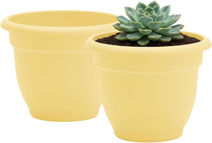 Bloem Ariana 12" Plastic Self-Watering Planter, Daffodil, 2-Pack | Self-watering disk at the bottom of each pot that acts as a water wick and reservoir for optimal plant health