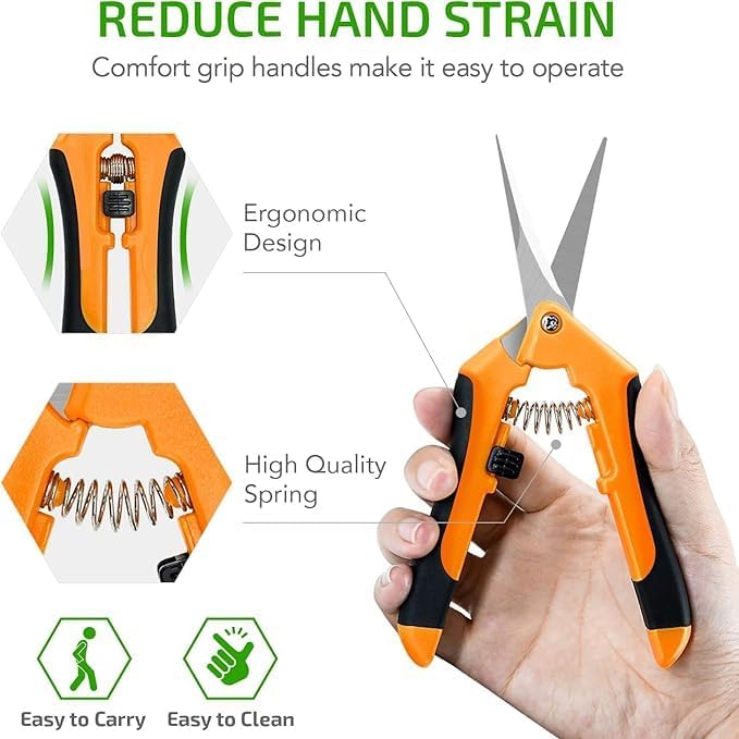 iPower 6.5 Inch Gardening Scissors Hand Pruner 6.5" Pruning Shear Gardening Hand Pruner for Gardening Potting with Titanium Coated Curved Precision Blades, Orange-1 Pack New