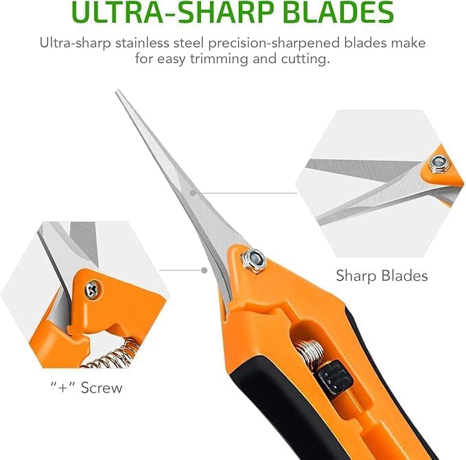 iPower 6.5 Inch Gardening Scissors Hand Pruner 6.5" Pruning Shear Gardening Hand Pruner for Gardening Potting with Titanium Coated Curved Precision Blades, Orange-1 Pack New