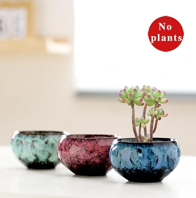 YYW Succulent Pots with Drainage Ceramic Plant Pot Indoor Small Flower Cactus Pots with Tree Tier Bamboo Stand Shallow Planter for Garden Windows Home Office Decor Plant Lovers Gifts
