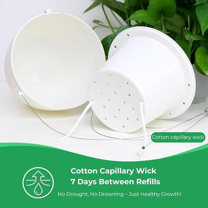 Self-Watering Hanging Planter: 6 Inch Inner Diameter, Indoor Outdoor, Stainless Steel Wire Hanger & Drip Tray, Pothos Philodendron Fern Herbs Scindapsus, Modern Minimalist Design (3 Pack, White)