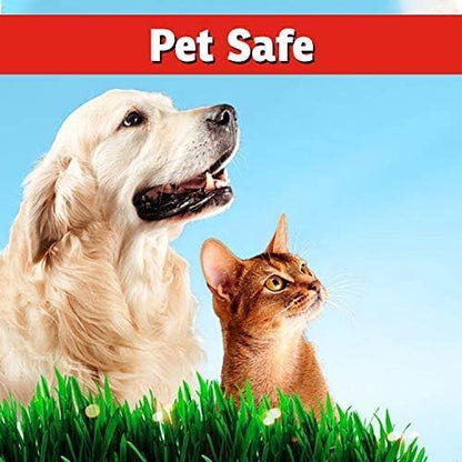 I Must Garden Deer Repellent - Ready to Use (2 Pack - 32oz RTU)