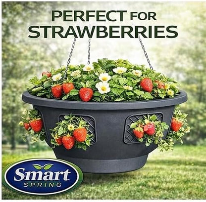 Hanging Planter Basket 20 Pack Bulk, Easy Fill Strawberry Planter, Outdoor Hanging Basket with Side Planting Panels, Durable UV Resistant Planters, Made in USA (20, Gray)