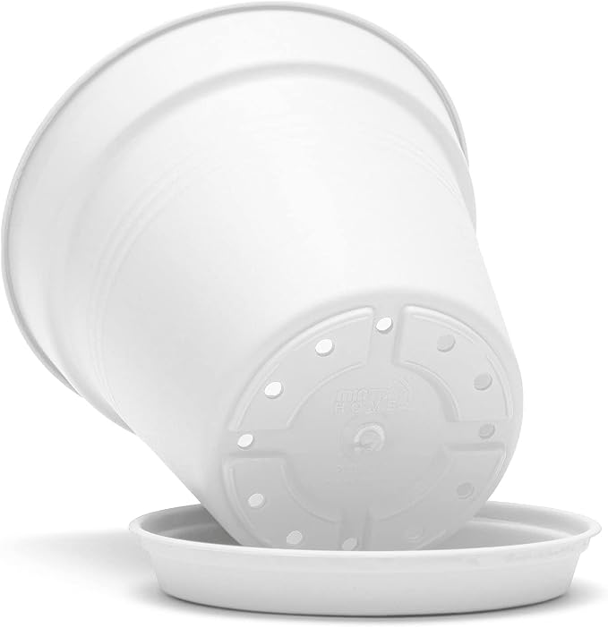 Mintra Garden Pots, 4 Pack Bulk Plastic Plant Pots with Drainage Tray, Round Indoor & Outdoor Decorative Planters with Drain Holes for Flowers, Herbs & Plants, 11cm Diameter – White, 4.3 in