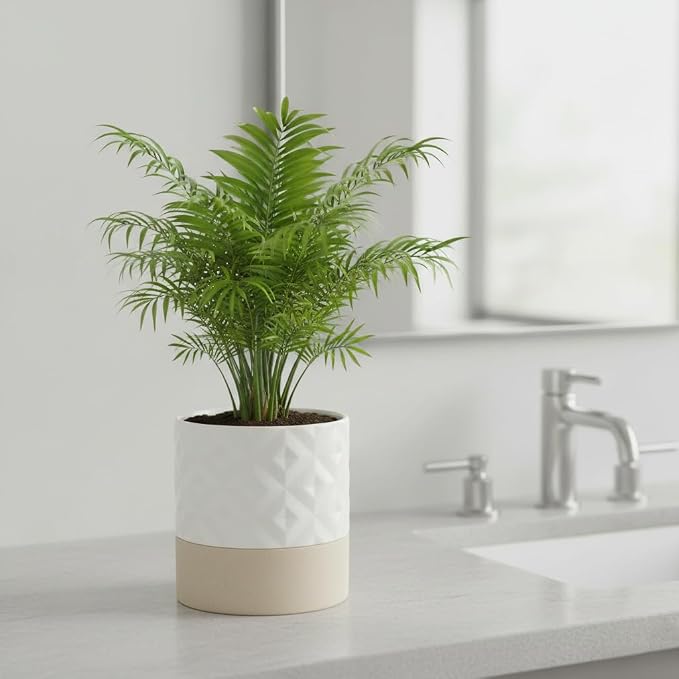 Nihow Ceramic Self Watering Plant Pot for Indoor Plants, 6 Inch,Cream White | Planter with Cotton Wick, Drainage Hole & Water Storage Plus, Cylinder Round Flower Pot, For Succulent/Herbs/Violets
